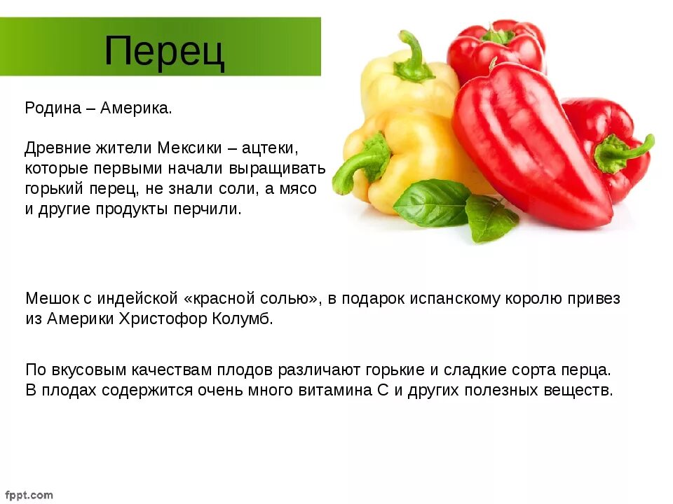 Перец какие витамины содержит. Перец описание для детей. болгарский перец описание для детей. болгарский перец описание для 3 класса. рассказ о перце.
