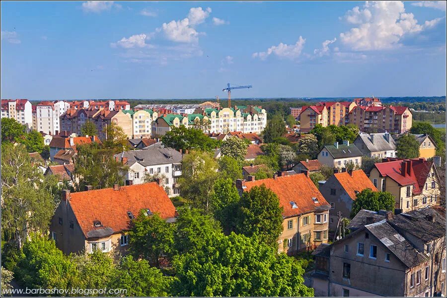 Зеленоградск центральная улица. Зеленоградск центр города. Зеленоградск. Зеленогорск калининград. Зелено калининградская область зеленоградск.