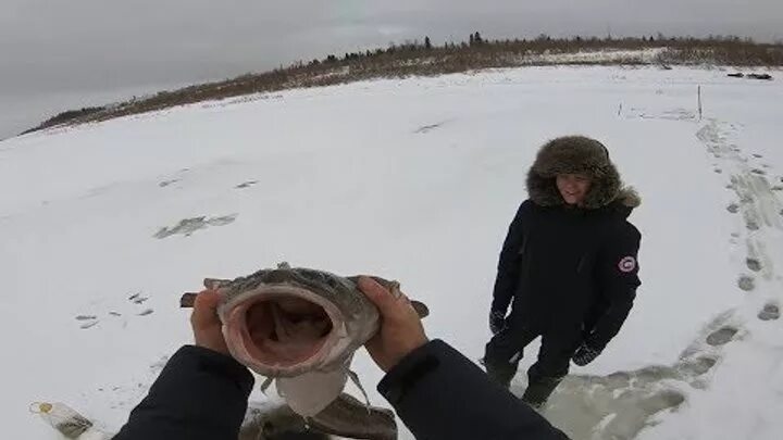 Это не диалоги. Это не диалоги о рыбалке. агат рыбалка. это не диалоги о рыбалке последнее. не диалоги о рыбалке последние съемки.