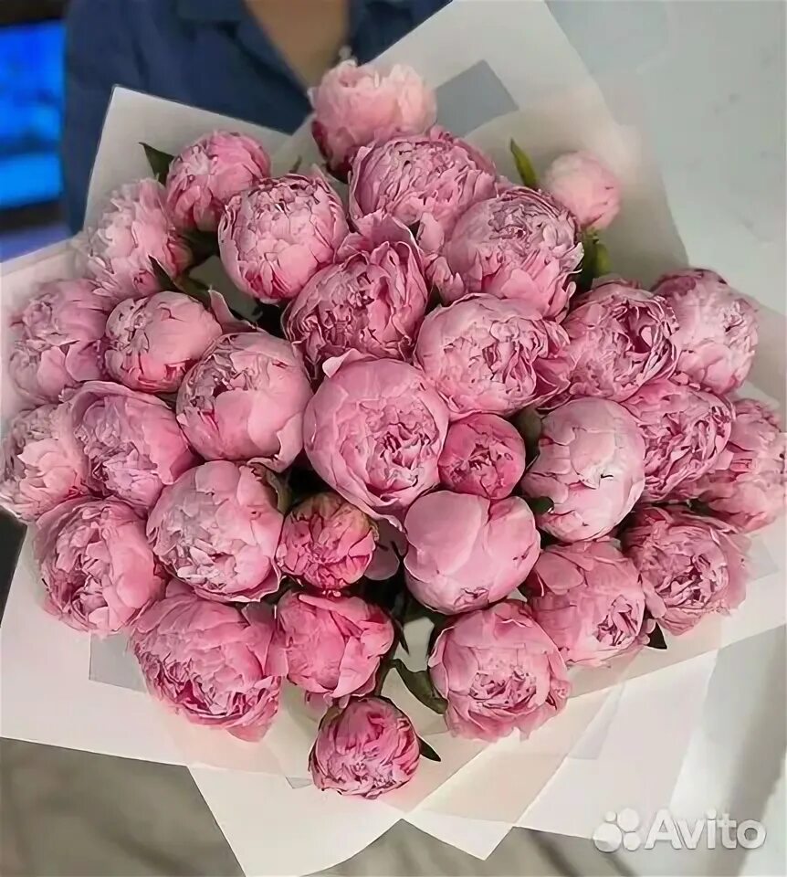 Пионы срезка. Пионы оптом. Букет с пионами. Букеты из пионов зефир. Пион зефир.