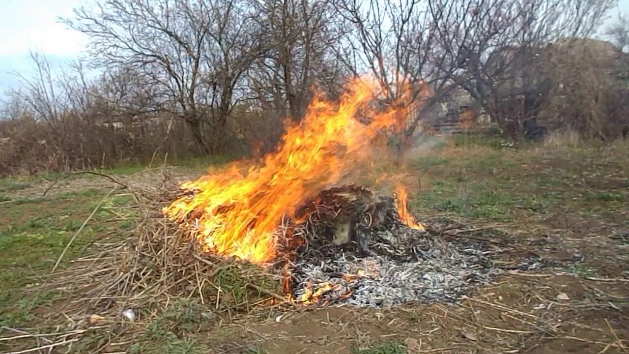 Можно жечь костер на своем участке 2024. Костры в огороде. Сжечь траву на участке. Костер огонь на участке.