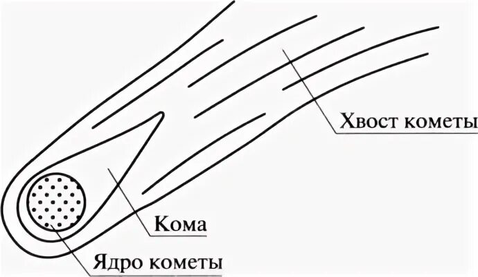 Направление хвоста