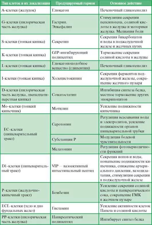 Норма желчного пузыря у мужчин. Пищеварительная система человека строение и функции таблица. Строение и функции пищеварительной системы таблица. Строение и функции органов пищеварительной системы таблица. Особенности строения пищеварительной системы человека таблица.