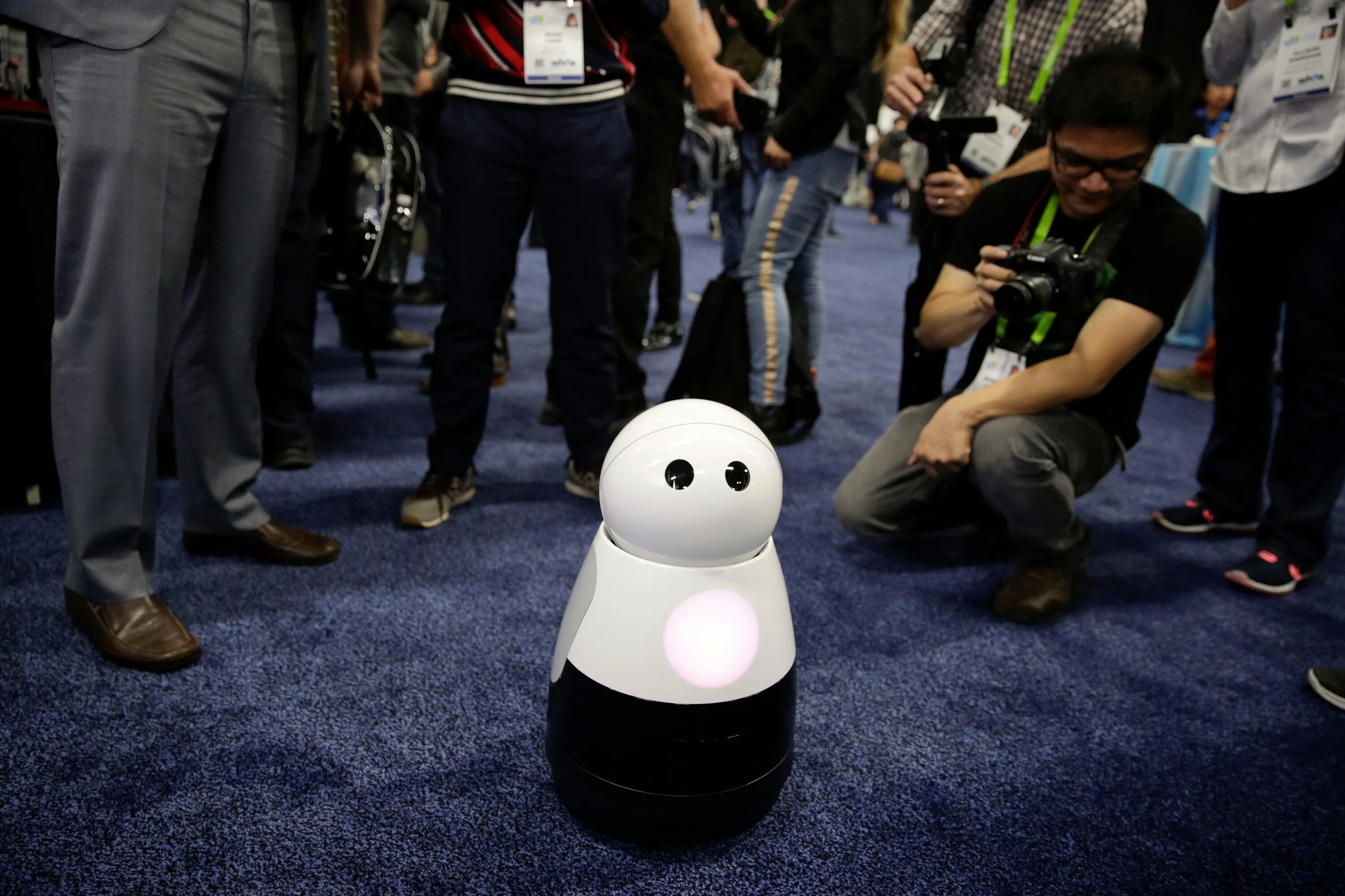 Лучший робот 2018. Kuri робот. kuri home robot. современные роботы 2018. робот kuri фото.