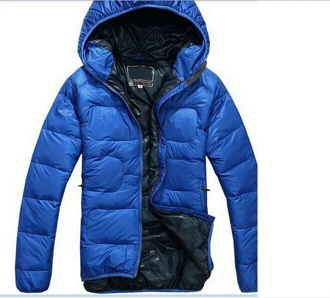 Куртка North Sunny. North Sunny куртки мужские. Куртка the North face мужская. Куртка монклер мужская синяя с капюшоном.