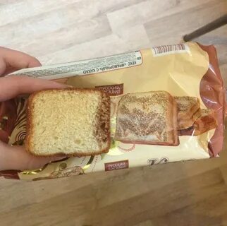 Сквит