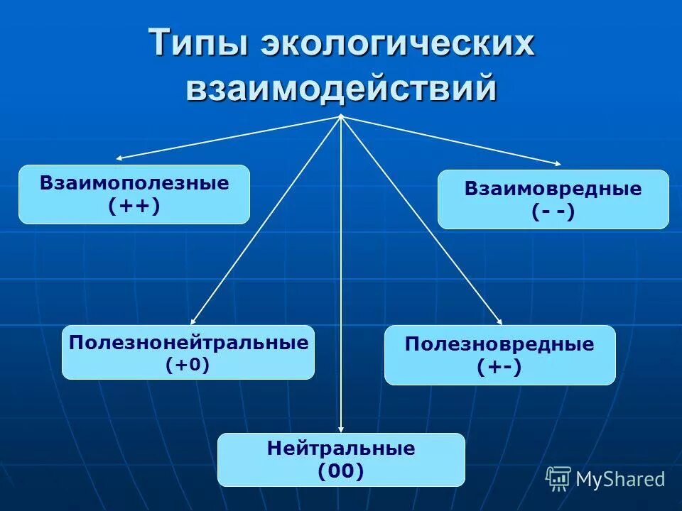 Биотические взаимодействия сколько групп. Типы экологических взаимодействий. Типы экологических взаимодей. Экологические взаимоотношения. Экологические взаимосвязи.