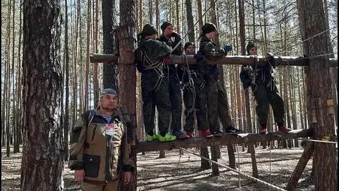 Хамелеон чита