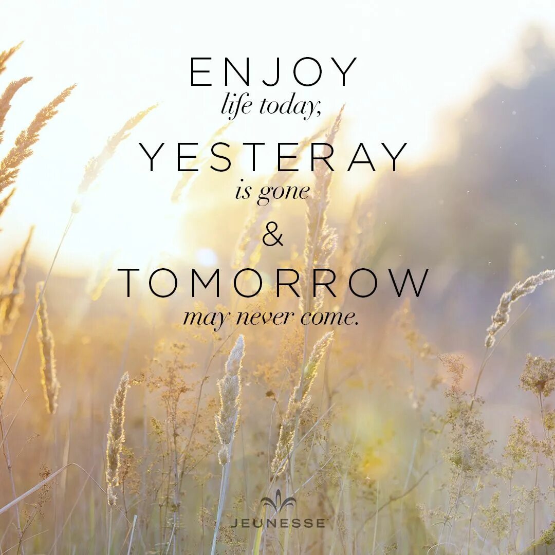 Enjoy today. Enjoy Life. Today is Life tomorrow never comes. Enjoy your Life.