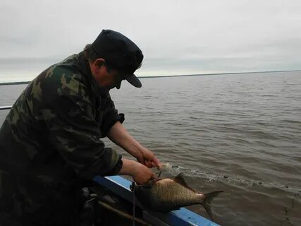 Рыба спас