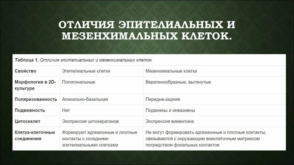 Саркома и рак отличие. Злокачественные опухоли костей виды. Злокачественная опухоль саркома. Чем отличается патология от онкологии. Различия доброкачественных и злокачественных новообразований.