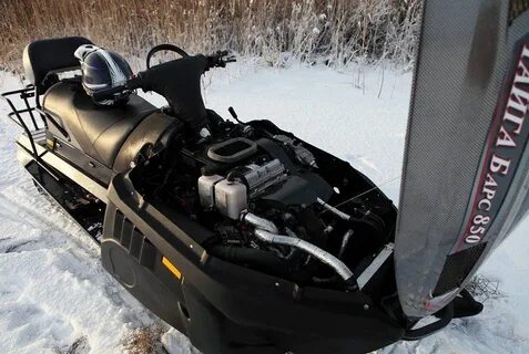Тайга рыбинск