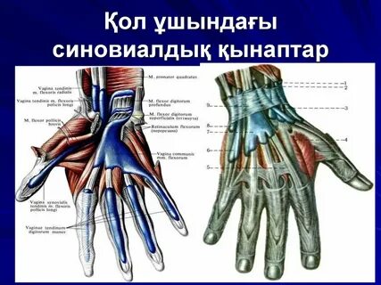 Порно көру: Адвокат өз клиентін азғырады