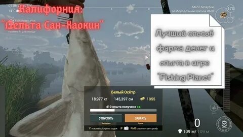 Fishing planet садок