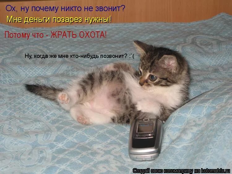 Любимый почему не пишешь. Почему девочки не пишут первыми. Не звонишь не пишешь. Почему она не звонит. Почему она не пишет.