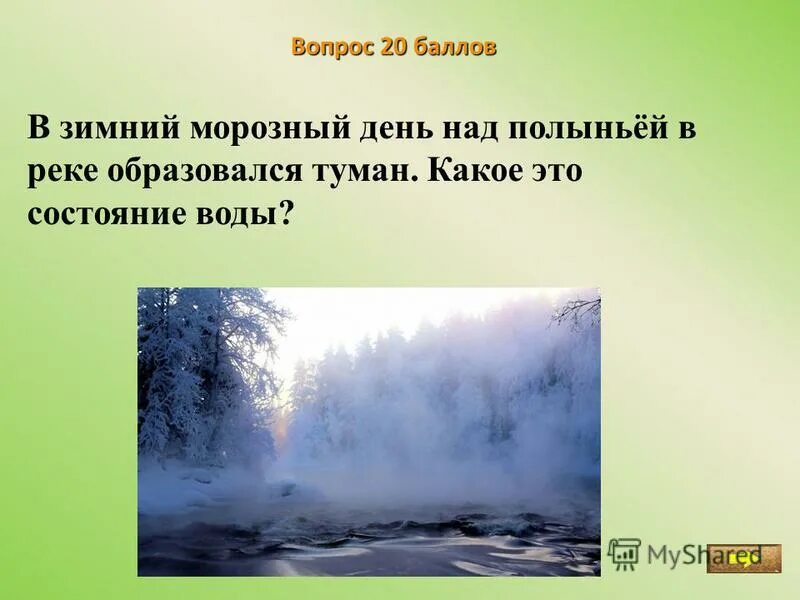 туман зимой. иней. морозно какое состояние. снег и лед в природе. зимний пейзаж.