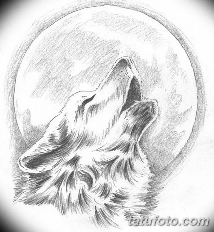 Картинки волка рисунки. Тату волк воет на луну. Волк карандашом. Тату волк воет на луну эскизы. Рисунки Волков карандашом.