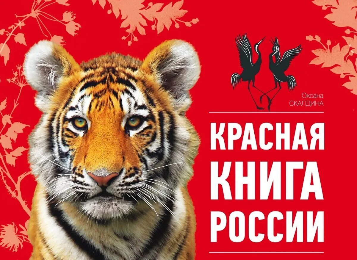 Красная книга принята. Красная книга российс.... Обложка красной книги России. Красная книга России книга. Обложка красной книги РО.