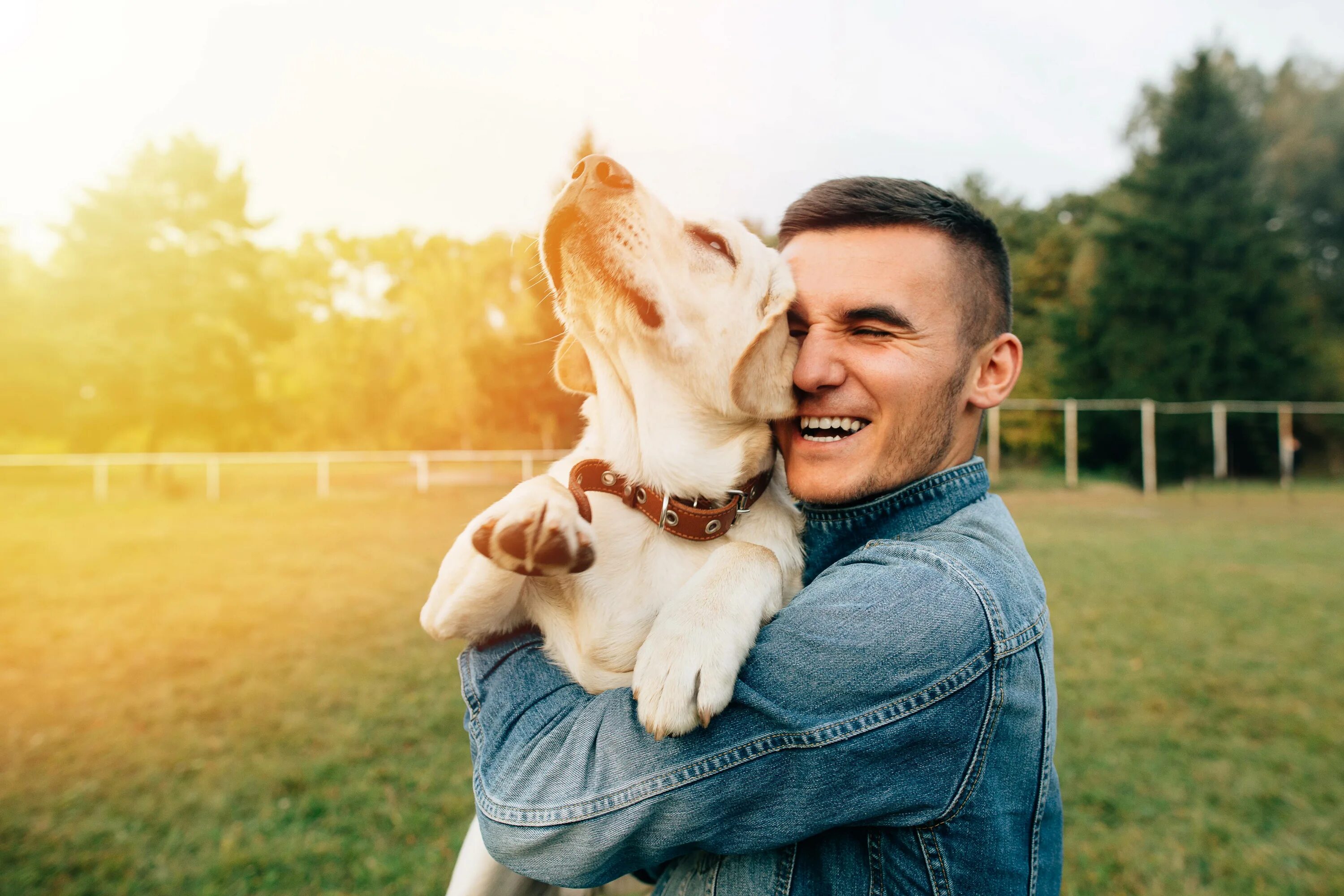 Son s best friend. Хозяин собаки. Человек с собакой. Собачка с хозяином. Счастливый питомец с хозяином.