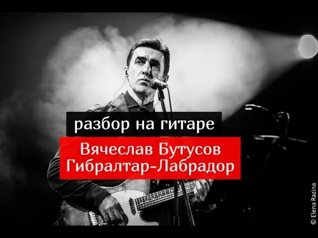 Смысл песни гибралтар. Брат 2 гибралтар лабрадор. Смысл песни гибралтар. Гибралтар лабрадор текст. Смысл песни гибралтар.