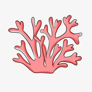 Коралловые дети