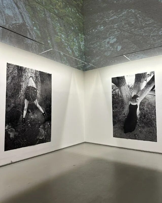 микрокосм цифры выставка спб. арт парк москва выставка сны. музей иностранный художественный. синтез цифергауз. выставка творческих работ.