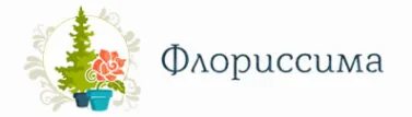 Флориссима ростов