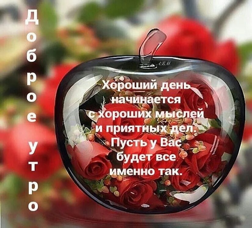 Цитаты пожелания доброго дня. Позитивные пожелания. пожелания на день. позитивные пожелания на весь день. пожелания хорошего дня мужчине.