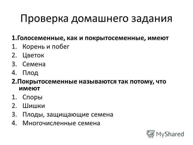 Проверочная работа голосеменные растения 7 класс. Проверочная работа голосеменные растения 7 класс