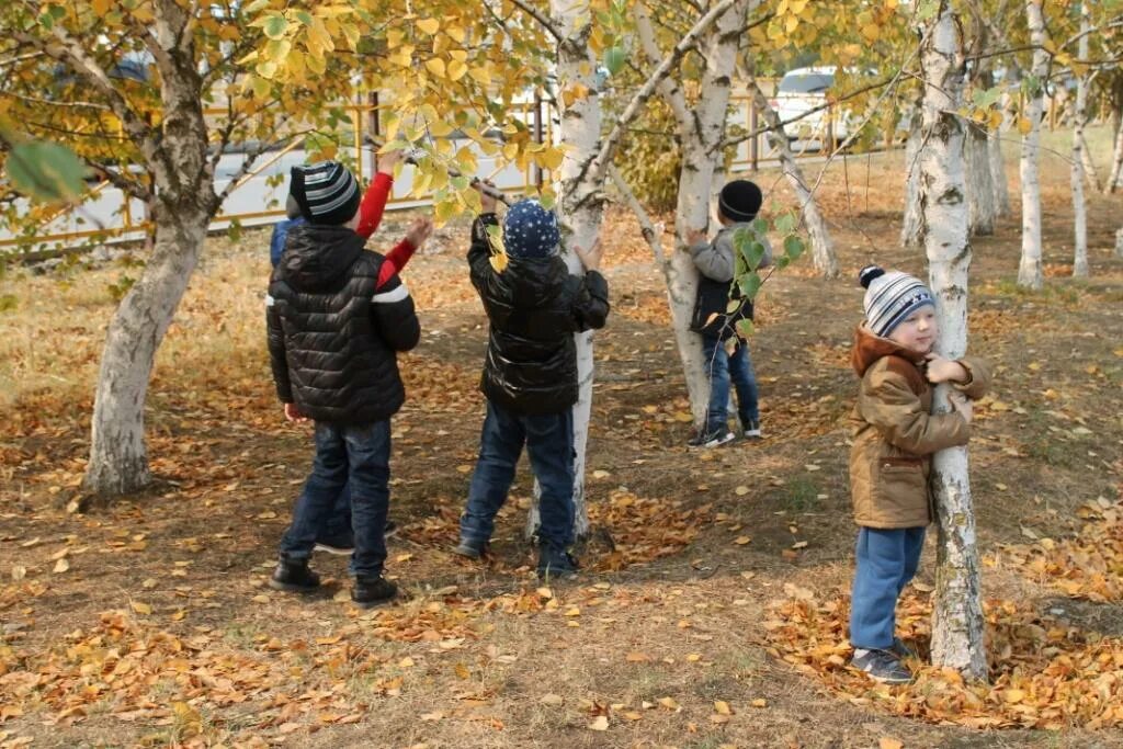 Экскурсия в осеннюю природу. Экскурсия в осенний парк. дети на экскурсии в парке.
