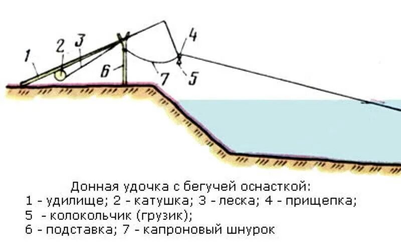 Донный трал. Донной происхождение. Эндокринные железы эктодермального происхождения. Донной происхождение. Золотая жила схема.