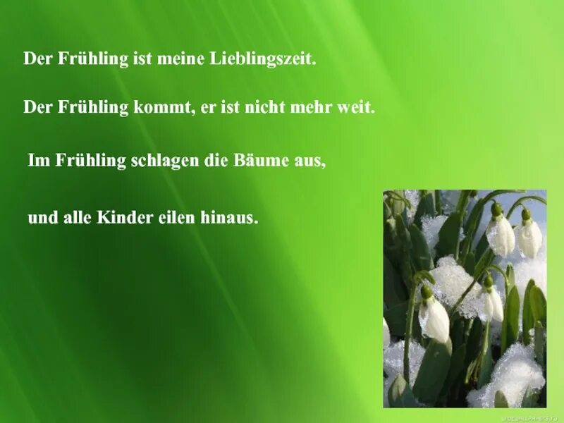 Презентация mein lieblingstier. Немецкий тема mein lieblingstier. Er kommt. Er kommt. Тилль уленшпигель картинка без фона для детей.