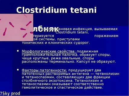 Клостридиальная инфекция лечение