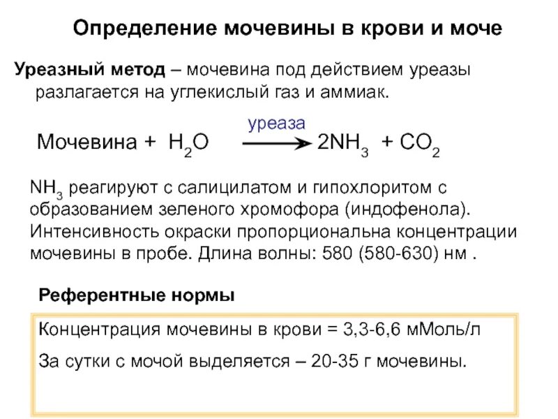 Количественные методы определения мочи. Количественное определение мочевины в сыворотке крови. метод количественного определения мочевины в сыворотке крови.. определение концентрации мочевины в сыворотке крови и моче.. методы определения содержания мочевины.
