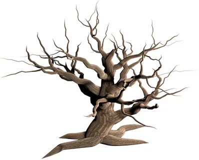 Empty branch