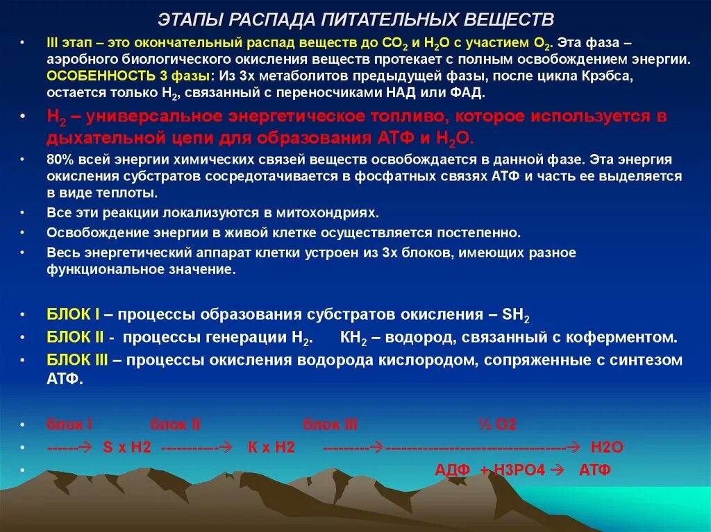 Этапы распада питательных веществ. Этапы унифицирования энергии пищевых веществ. Этапы унификации энергетических субстратов окисления. 2 Этап распада питательных веществ.