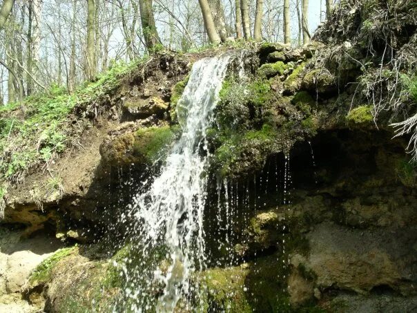 Родники в краснодарский. Источник Краснодарский край Святая. Гладковская станица Краснодарский край. Святые источники Кубани 3. Родники Краснодарский край.