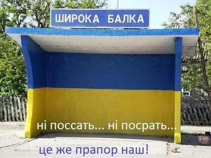 Типичное широкое
