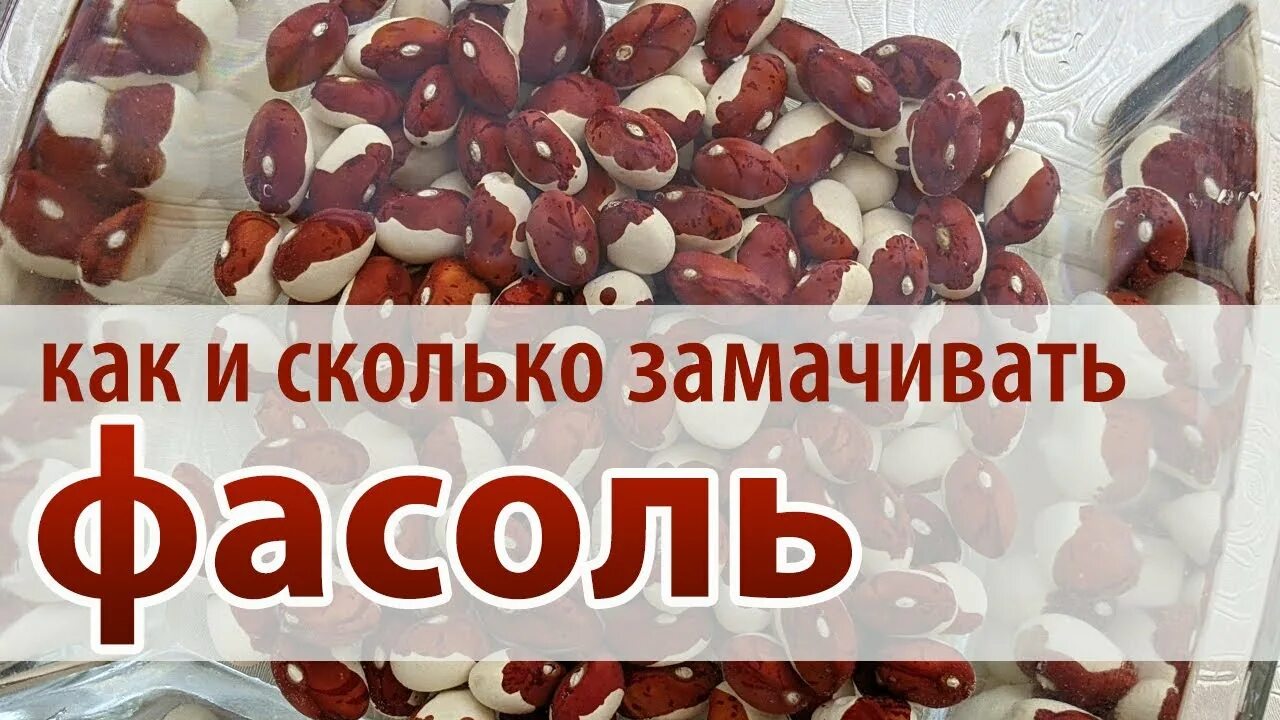 Надо ли замачивать фасоль. Замоченная фасоль. Замоченная красная фасоль. Сколько замачивается фасоль. Как замочить фасоль.