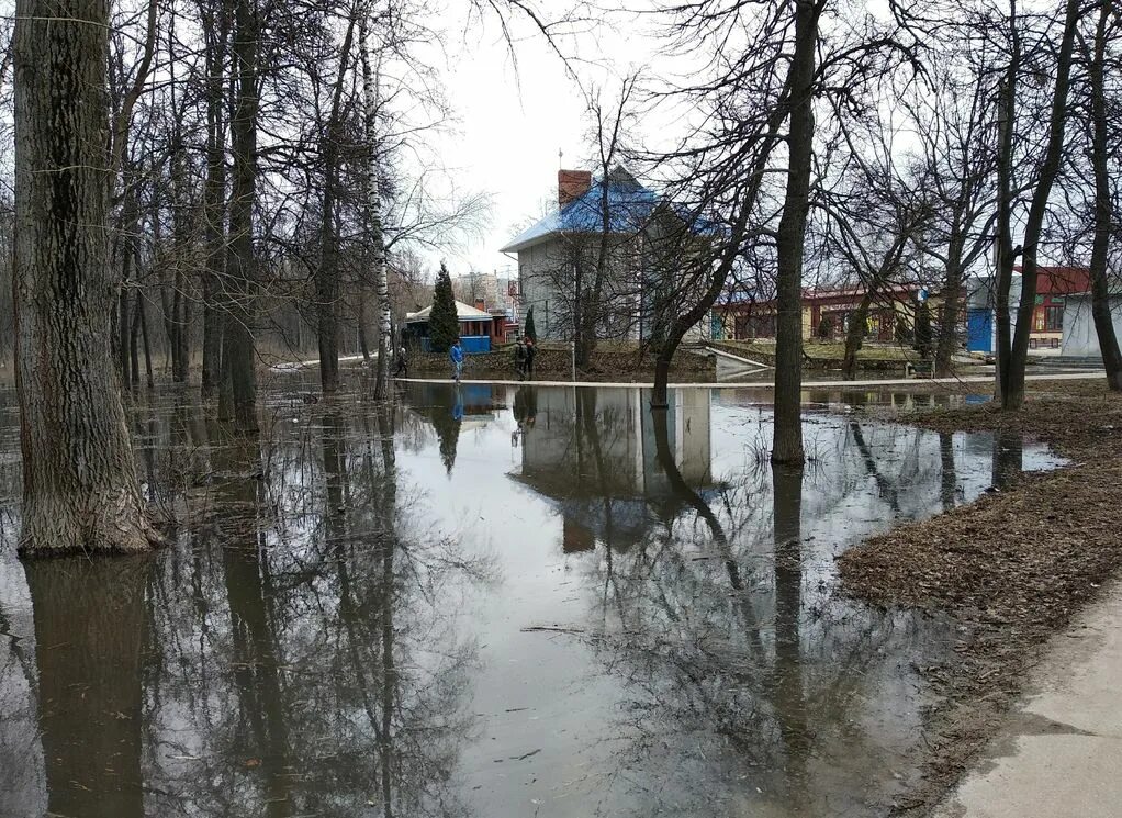 Большая вода рязань. Половодье рязань. половодье рязань 2025. весенний разлив рязань парк. половодье в рязани 2025.