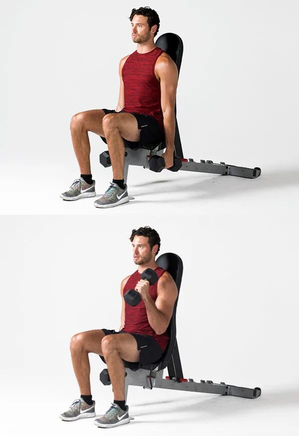 Hammer Curls 4x10. V-sit стойки для. Seated Hammer Pull. Ham Curl exercise.