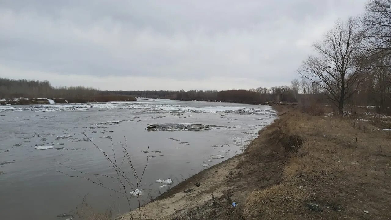 Уровень воды в тоболе сегодня иевлево. Уровень воды в Чумыше в Тальменке. Тальменка-Усть Чумыш. Река Чумыш Тальменка. Уровень воды в реке Чумыш в Тальменке.