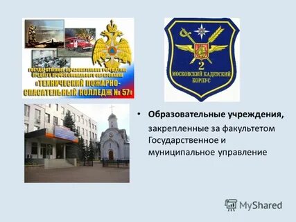 Муниципальное управление владивосток