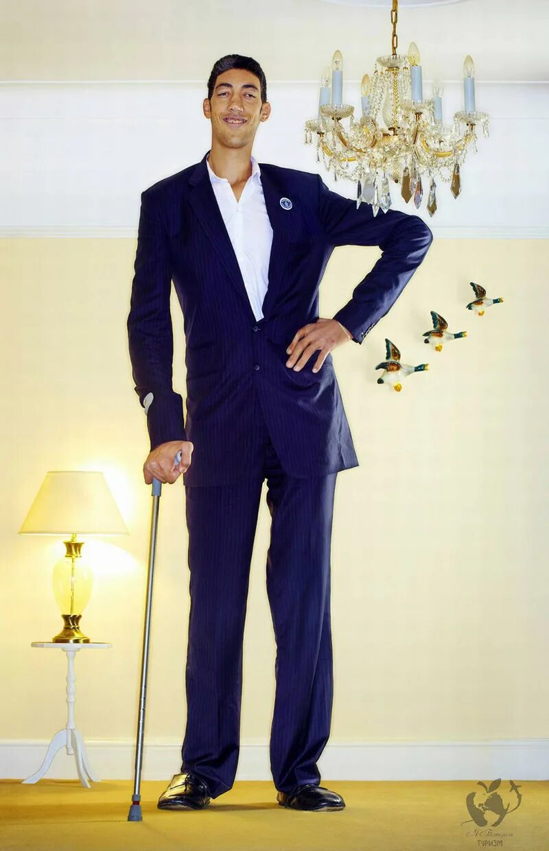 Самого большого мужчину. Jonah falcon. Мужчина 2 метра ростом. Мексиканец роберто кабрера. Джона фалкон (jonah falcon).