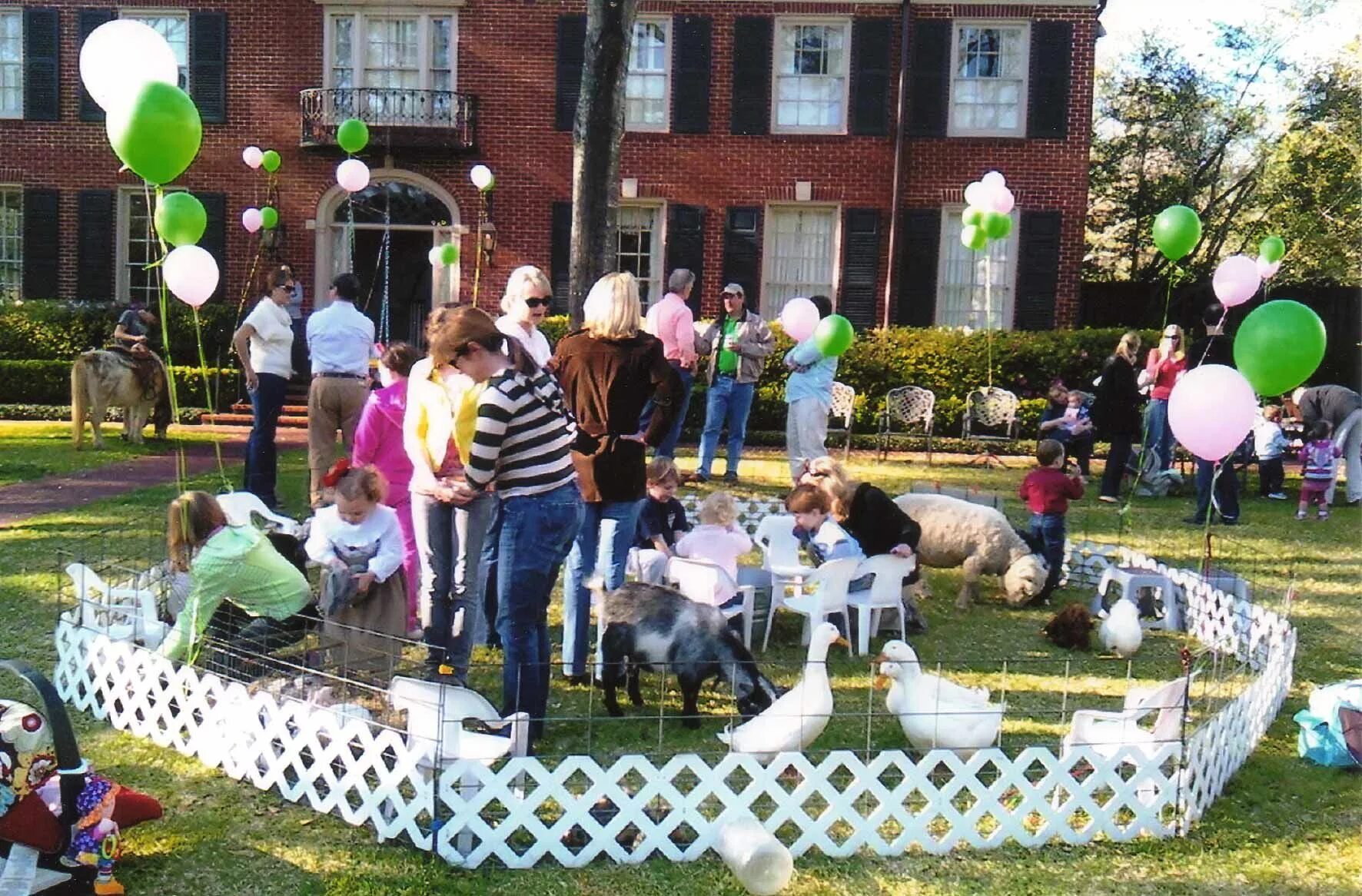 Городская ферма день рождения. Пансионат для животных. Birthday Party Zoo. На выпускной на городскую ферму. Petting party