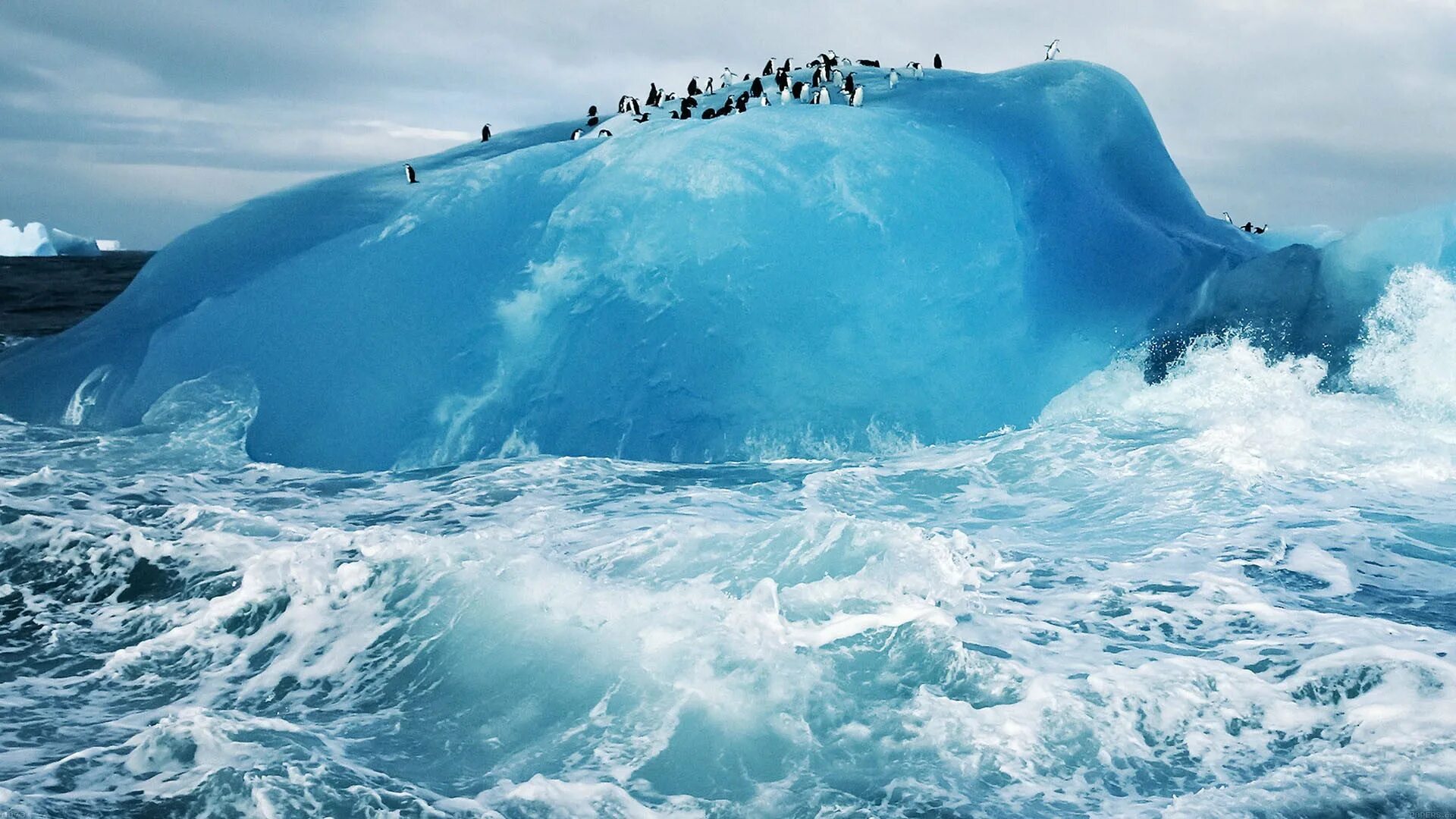 Айсберги Антарктиды. Лед Айсберг Арктика. Ледовитый океан Айсберг. Гидросфера Айсберг.