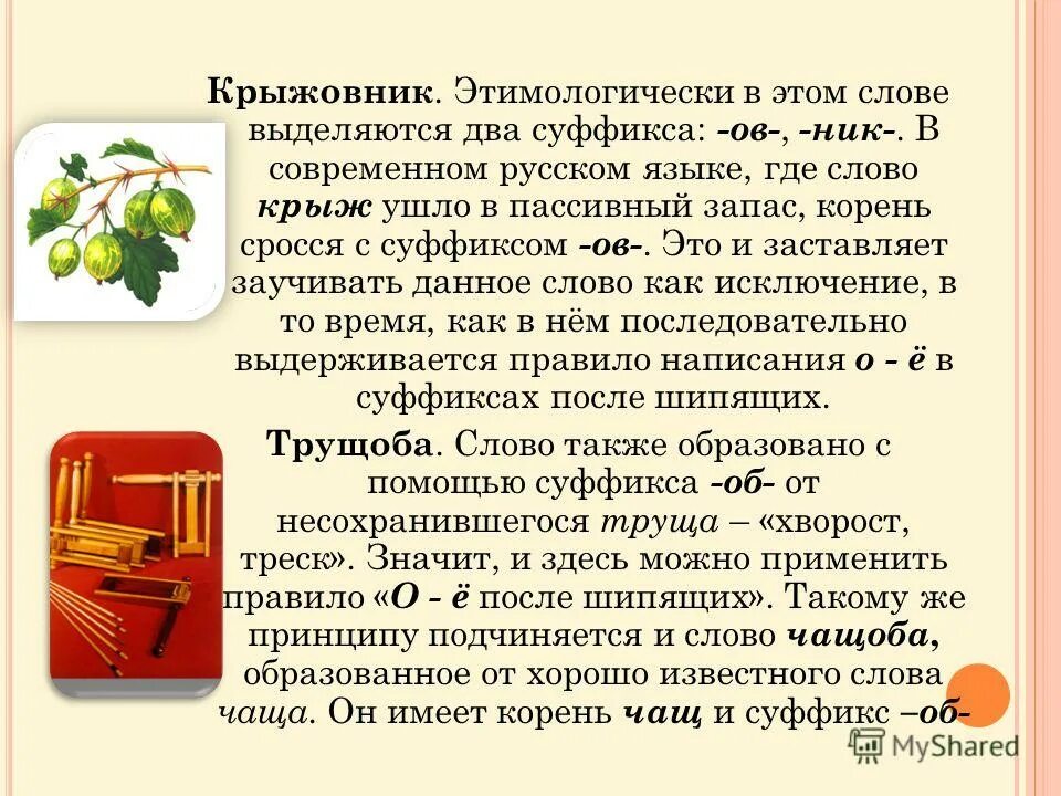 Корневой запас. Слова исключения крыжовник. Слова из слова крыжовник. Крыжовник как выделить это слово исключение. Почему слово крыжовник слово исключение.