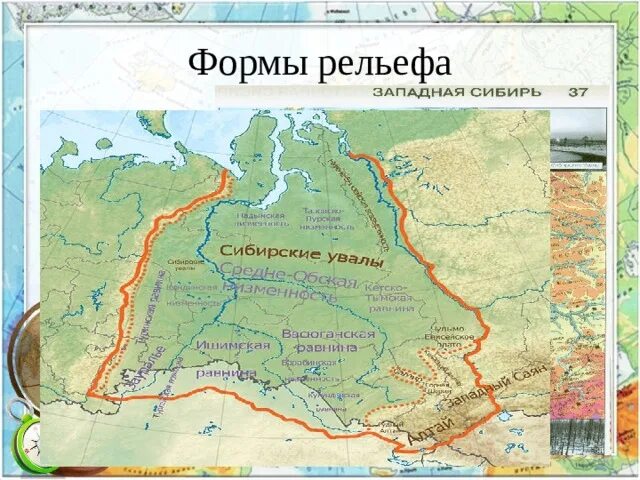 Протяженность западно сибирской равнины в градусах. Западно-Сибирская равнина на карте России. Формы рельефа Западной Сибири на карте. Рельеф Западно сибирской равнины. Восточная Сибирь формы рельефа на карте.