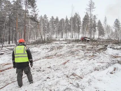 Моты иркутская область погода шелеховский