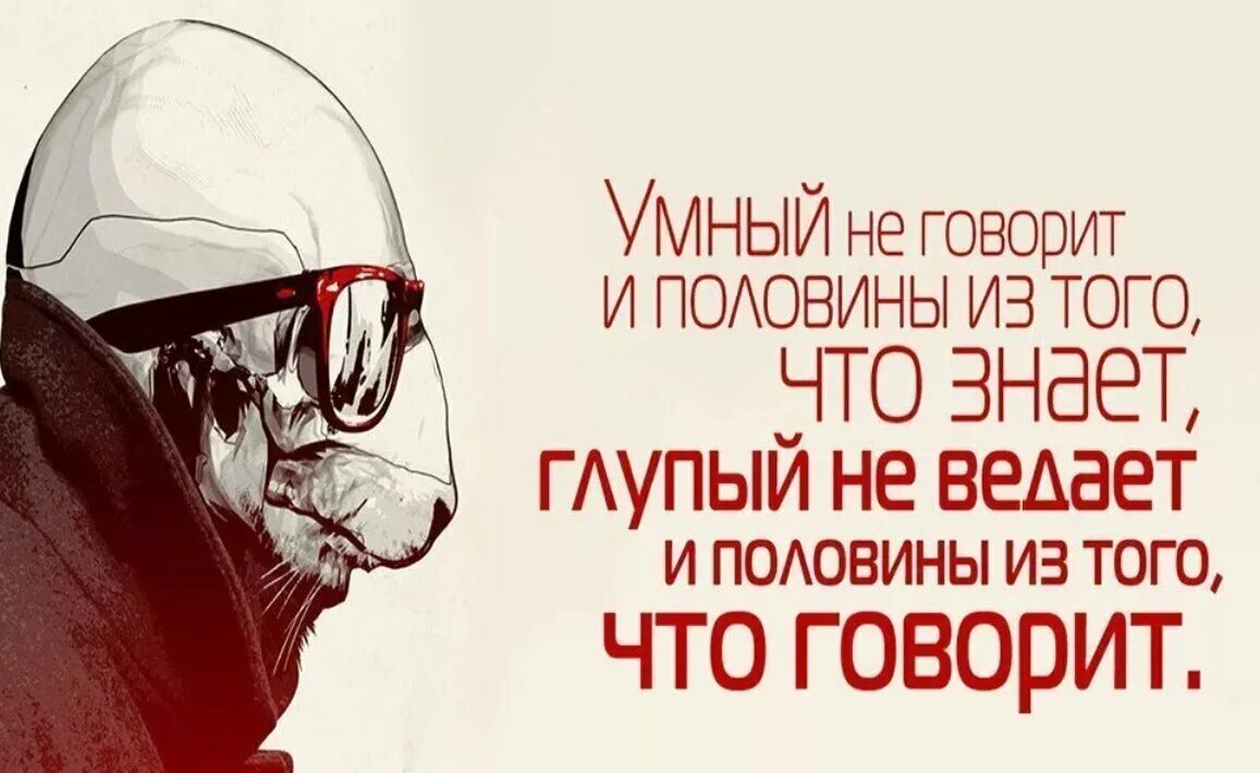 Большому уму и в ответ. Цитаты про умных и глупых. Цитаты про умных и глупых людей. Цитаты про глупых людей. Мудрые высказывания о глупых людях.